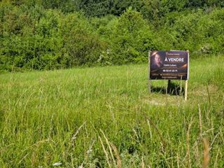  Terrain à vendre 3679 m²