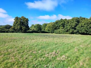  Terrain � vendre 8456 m�