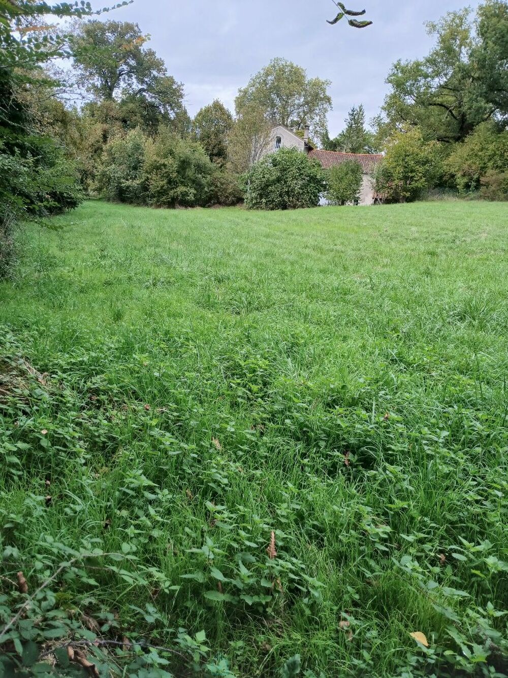 Vente Terrain Terrain constructible Riberac