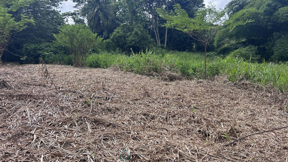 Vente Terrain Terrain constructible Le lamentin