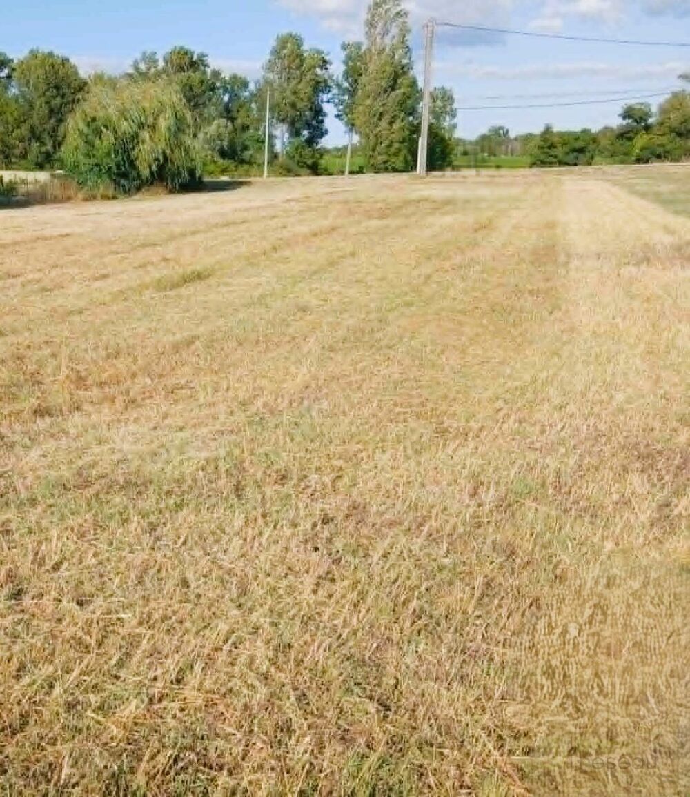 Vente Terrain Terrain Eyrans