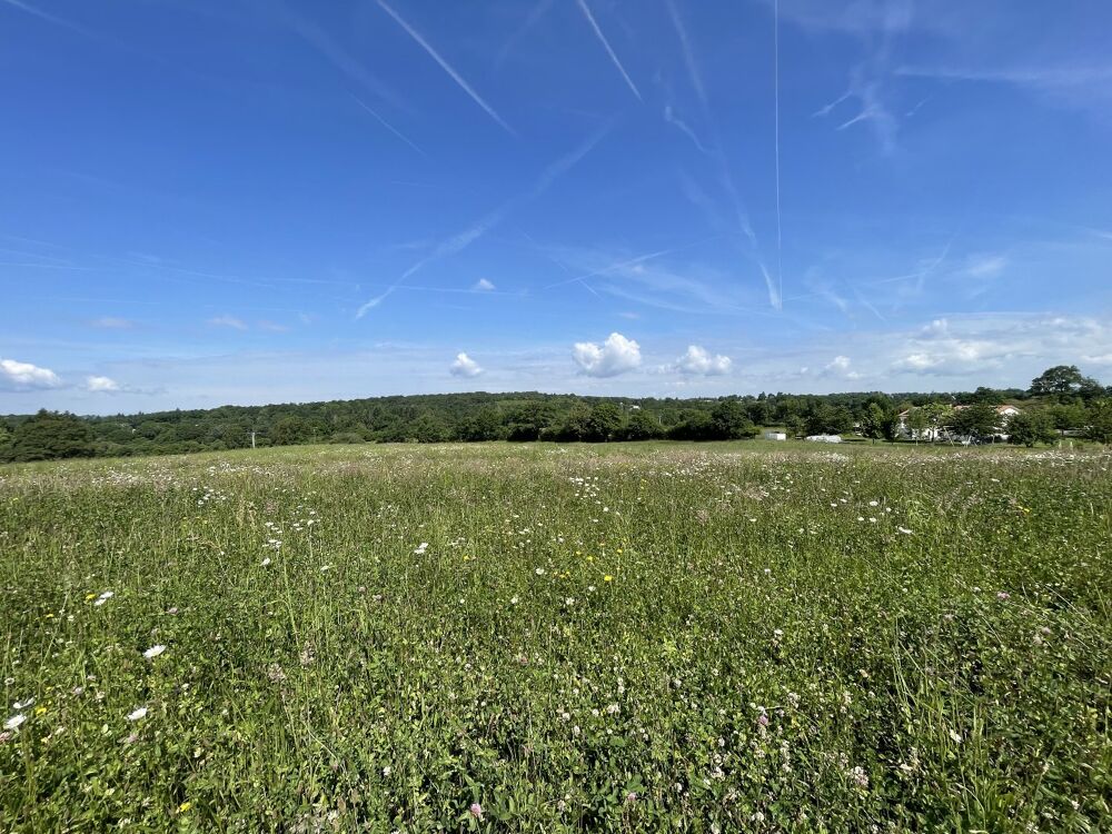 Vente Terrain Terrain constructible Feytiat