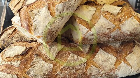   Boulangerie - Pâtisserie 