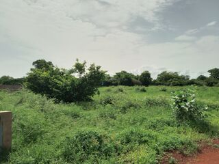  Terrain � vendre 1436 m� Ngaparou