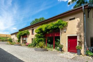  Maison à vendre 15 + pièces 440 m²