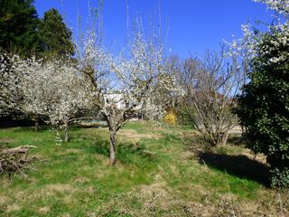  Maison  vendre 4 pices 160 m