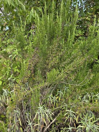  Terrain � vendre 919 m�