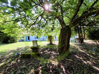  Maison � vendre 9 pi�ces 380 m�