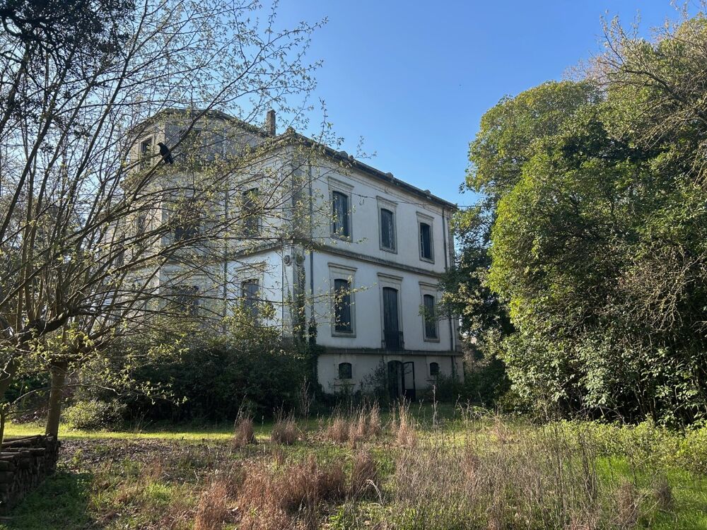 � vendre  Propri�t�/ch�teau Saint-Nazaire-de-P�zan (34400)