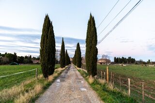  Maison � vendre 6 pi�ces 260 m�