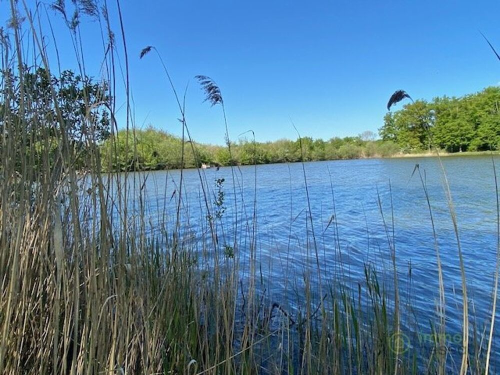 Vente Terrain Terrain boisé – forêt Saint hilaire les andresis