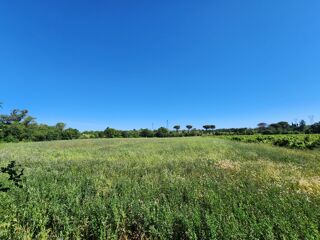  Terrain à vendre 54562 m²