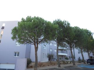  Appartement � louer 2 pi�ces 31 m�