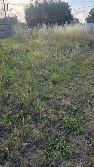 Vente Terrain Terrain constructible Cubnezais
