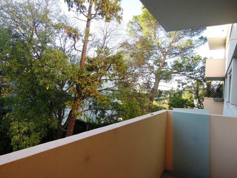  Appartement � louer 1 pi�ce 34 m�