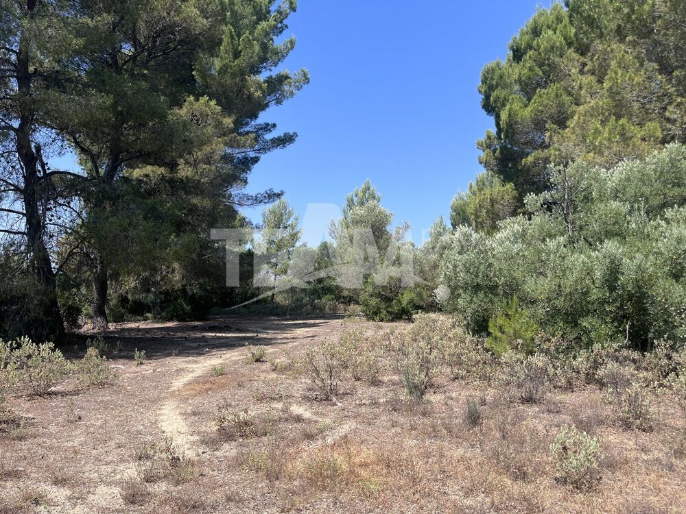 Vente Terrain Terrain de loisir Montbazin