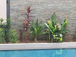  Maison � vendre 5 pi�ces 191 m� Somone