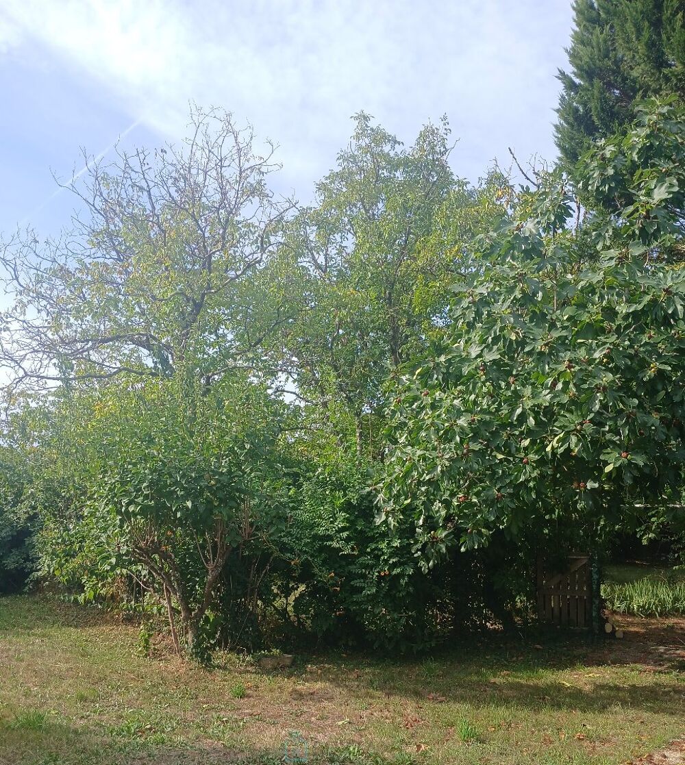 Vente Maison Maison individuelle Riberac