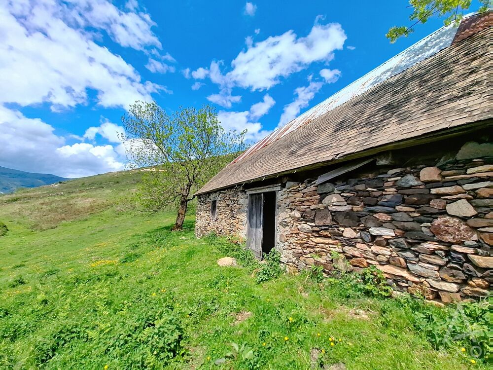 Vente Maison Grange Saint pastous
