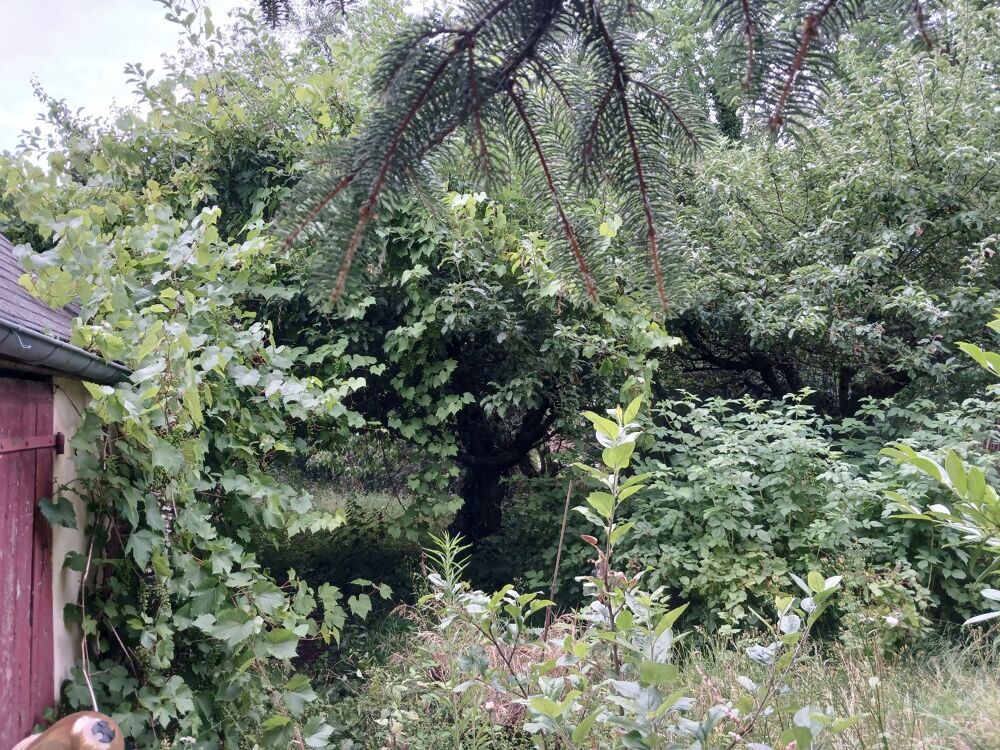Vente Terrain Terrain constructible Chateauneuf sur sarthe
