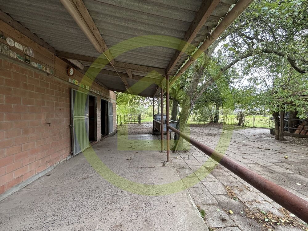  vendre  Maison Sailly-lez-Lannoy (59390)