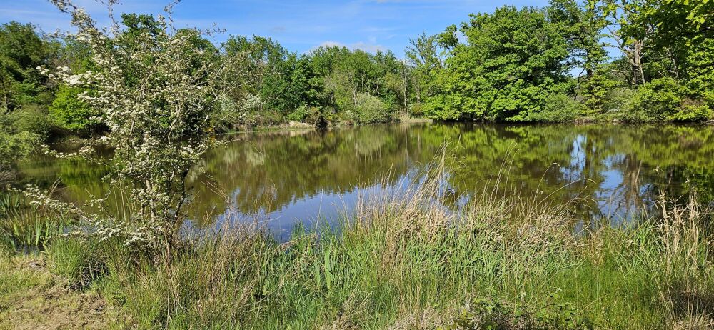 Vente Terrain Terrain de loisir Migne