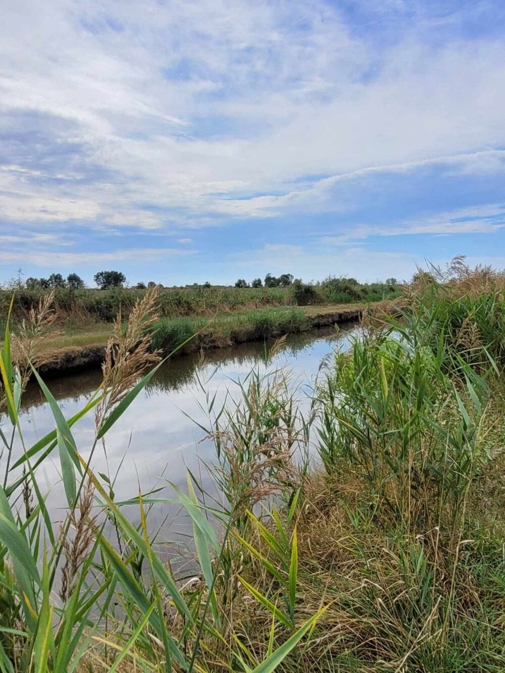 Vente Terrain Terrain Saint bonnet sur gironde