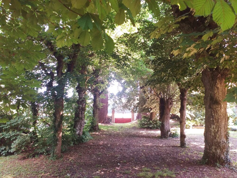 � vendre  Maison Bonny-sur-Loire (45420)