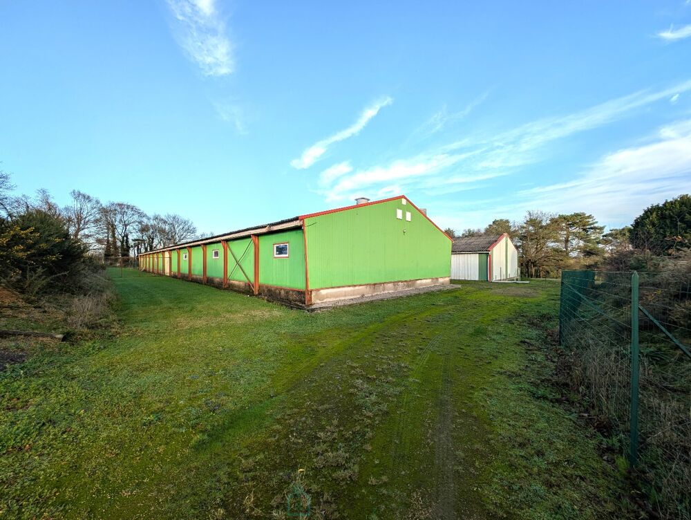 Vente Maison Propriété Languidic