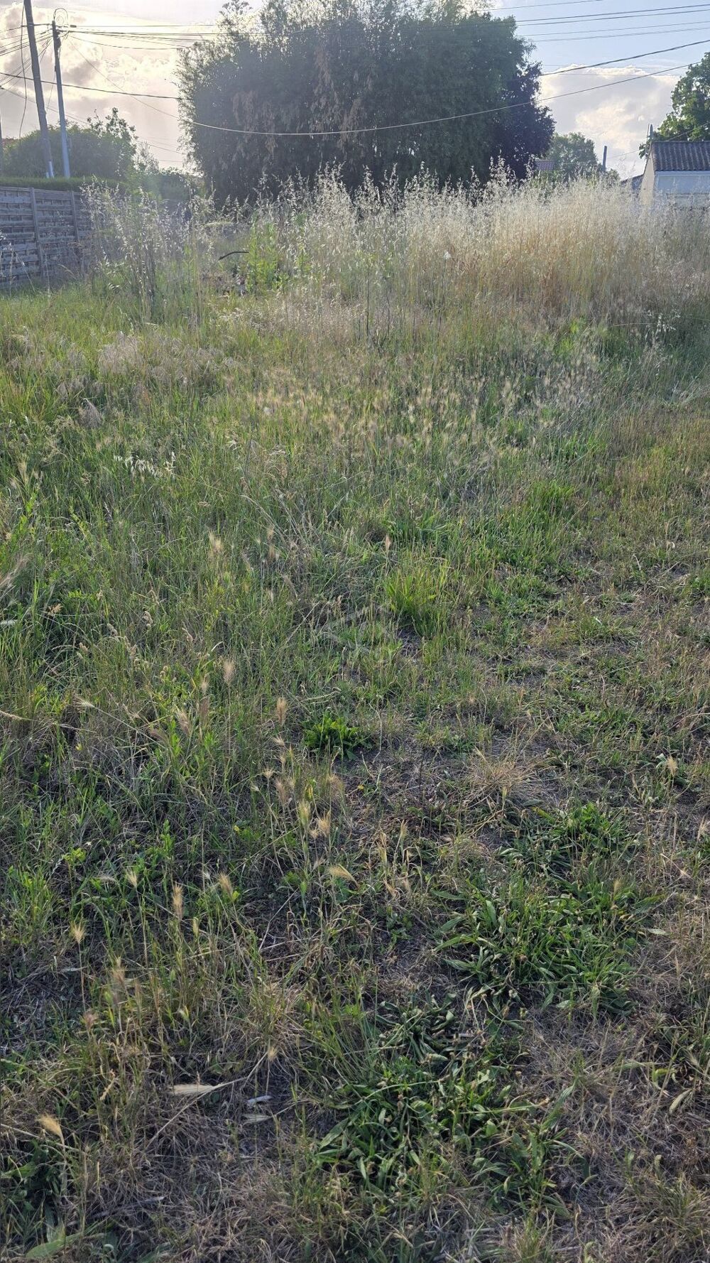 Vente Terrain Terrain constructible Cubnezais