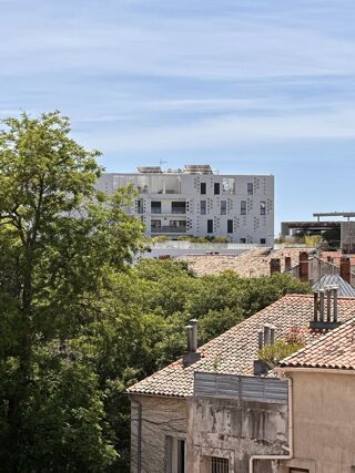  Appartement � louer 2 pi�ces 50 m�