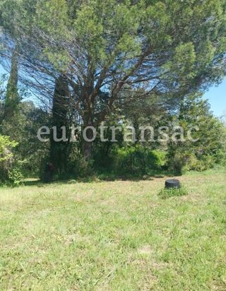  Terrain � vendre 11480 m�