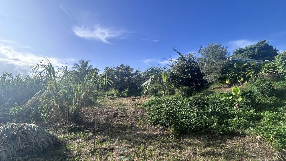 Vente Terrain Terrain constructible Riviere salee