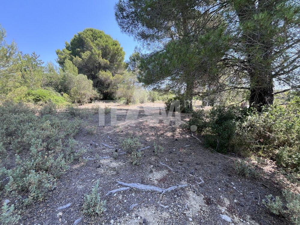 Vente Terrain Terrain de loisir Montbazin