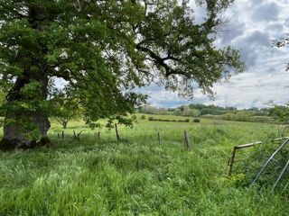  Maison � vendre 9 pi�ces 351 m�