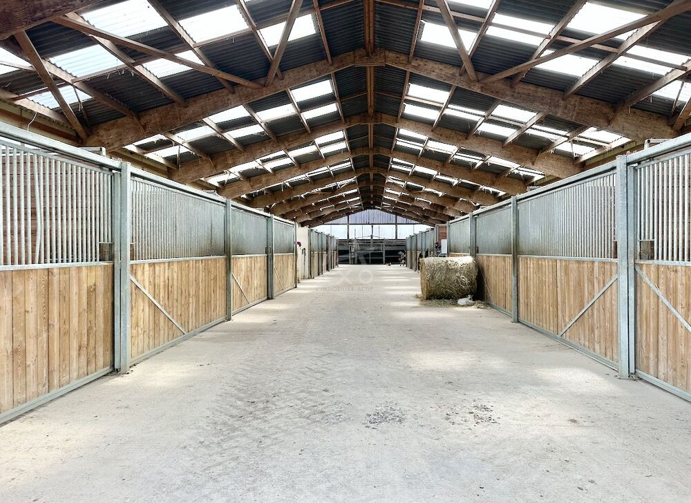 Vente Maison Haras / Equestre Le mans