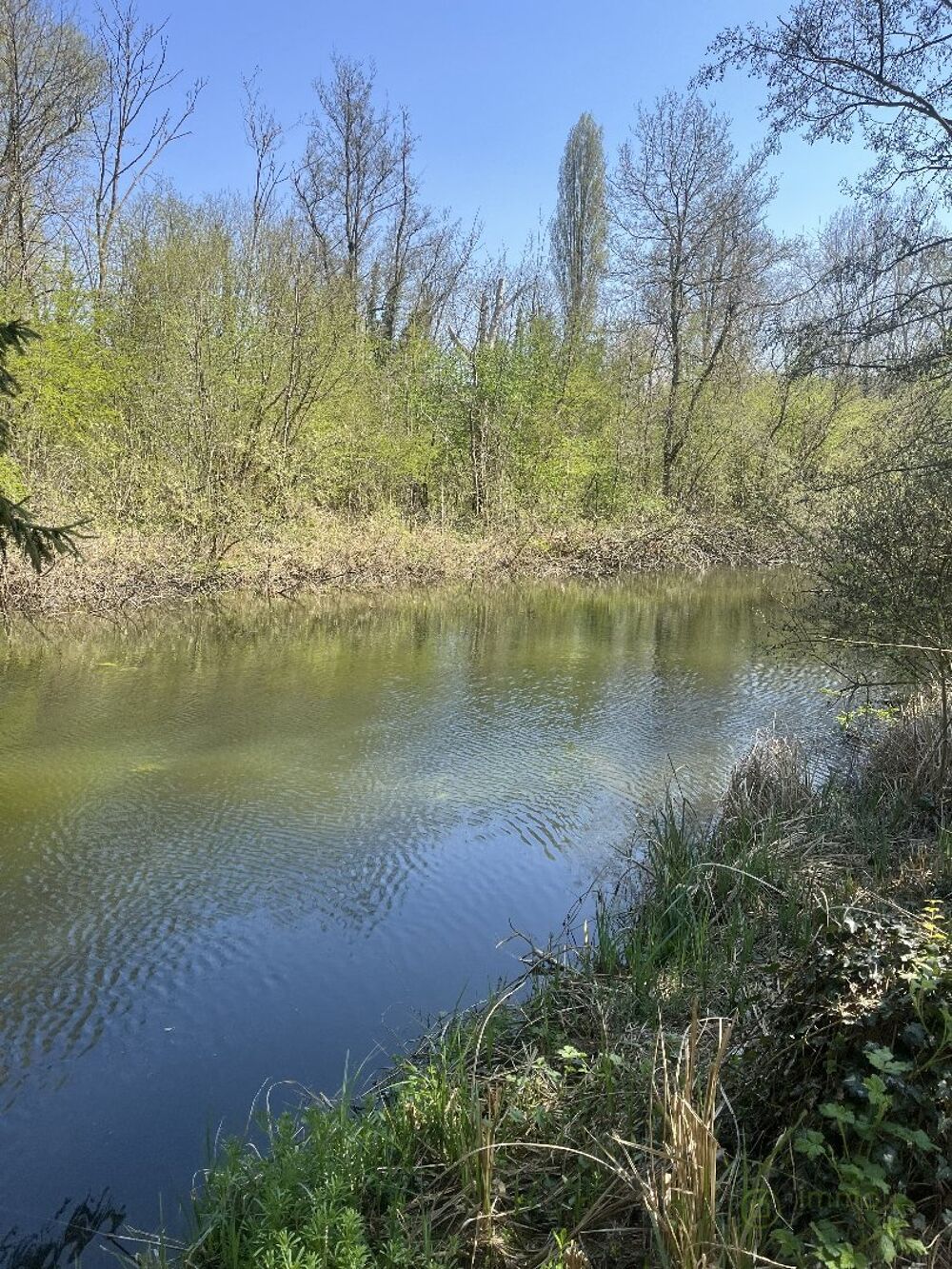 Vente Terrain Terrain Moreuil