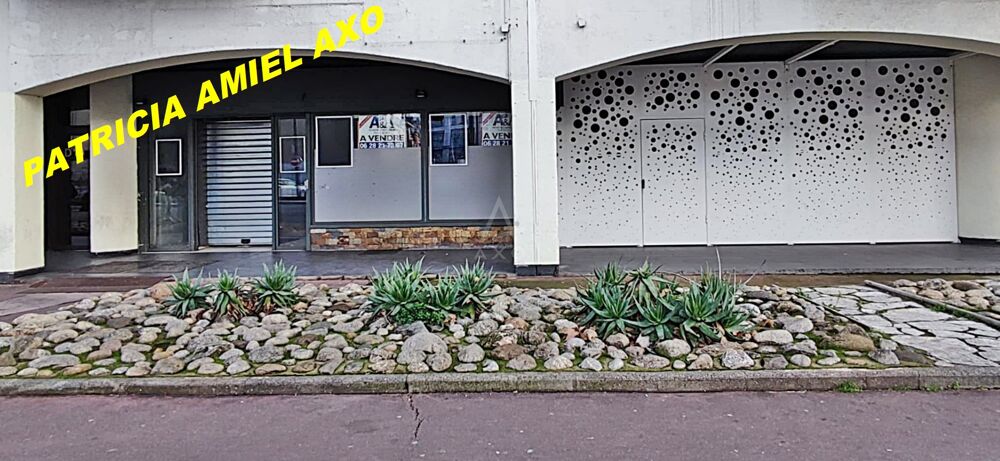   Locaux d'activité 