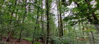  Terrain  vendre 9088 m