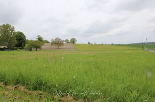 Vente Terrain Terrain constructible Sousmoulins