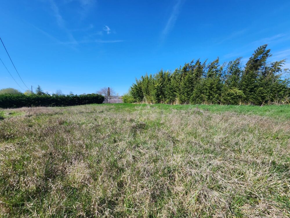 Vente Terrain Terrain constructible Garidech