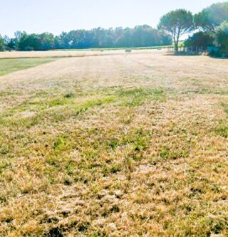 Terrain à vendre 1257 m²