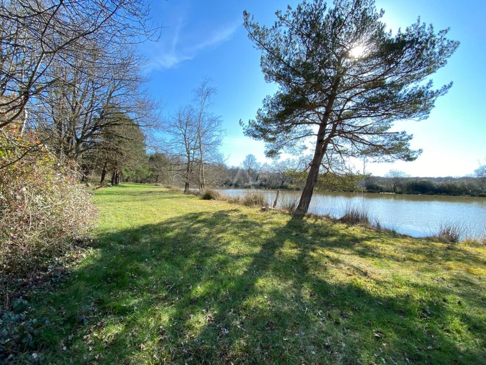 Vente Terrain Etang Saint brisson sur loire