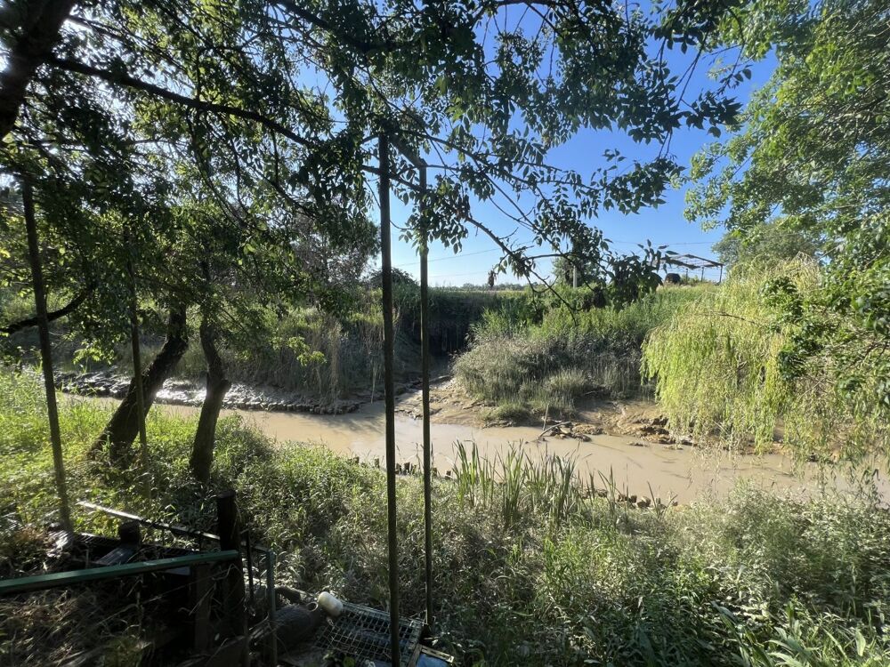 � vendre  Villa Parempuyre (33290)