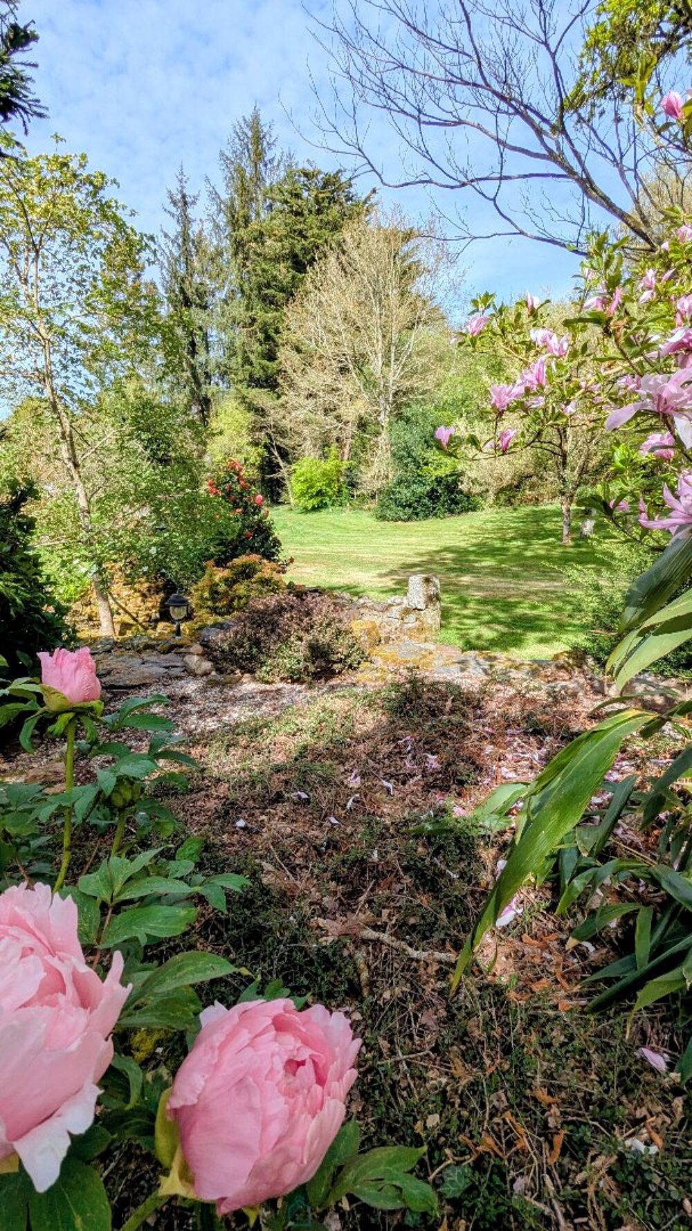 � vendre  Villa Pontivy (56300)