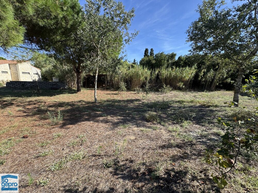 � vendre  Maison Le Grau d'Agde (34300)