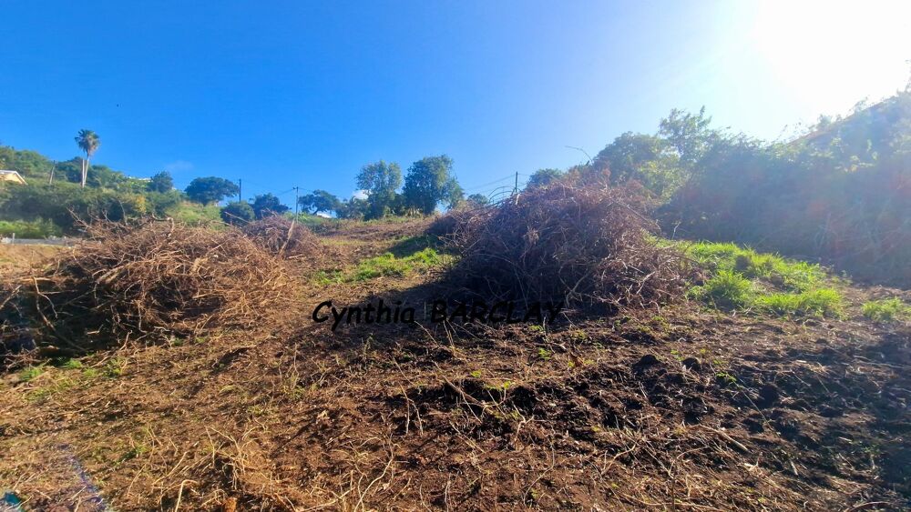 Vente Terrain Terrain constructible Le marin