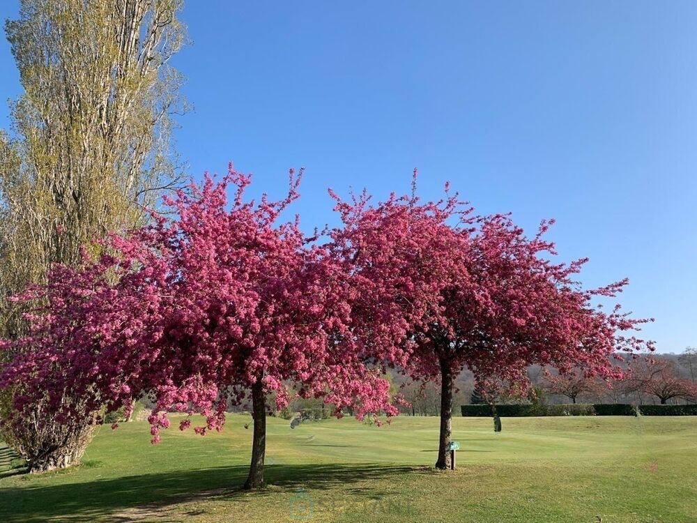 Vente Villa Propriété Fontainebleau