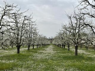  Maison � vendre 1 pi�ce 60 m�