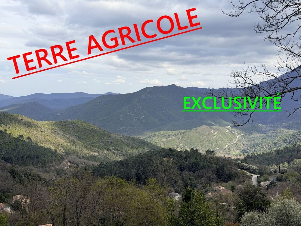 Vente Terrain Terrain agricole Venaco